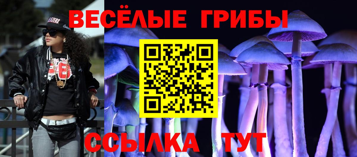 Псилоцибиновые грибы мицелий Сегежа